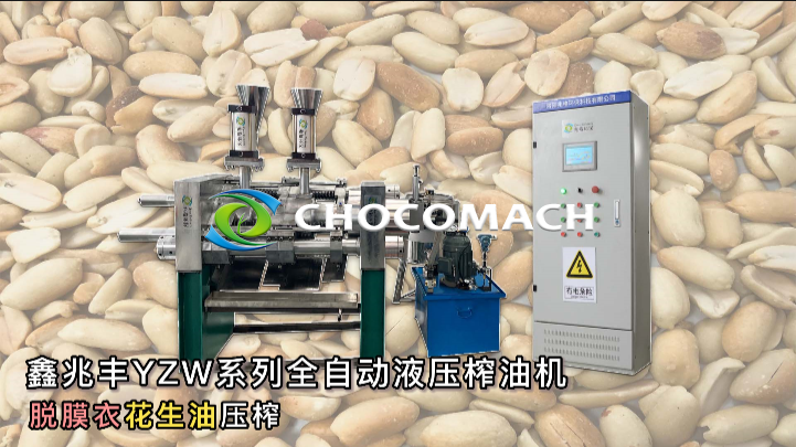 YZW新型全自動(dòng)花生榨油機(jī)液壓冷榨花生油 