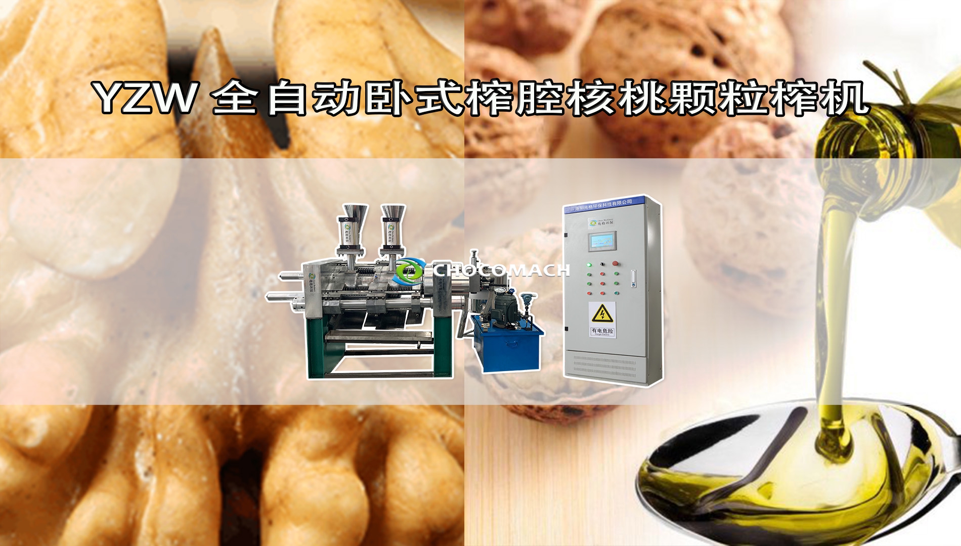 鑫兆豐YZW全自動(dòng)液壓核桃榨油機(jī)冷榨核桃仁制取核桃油