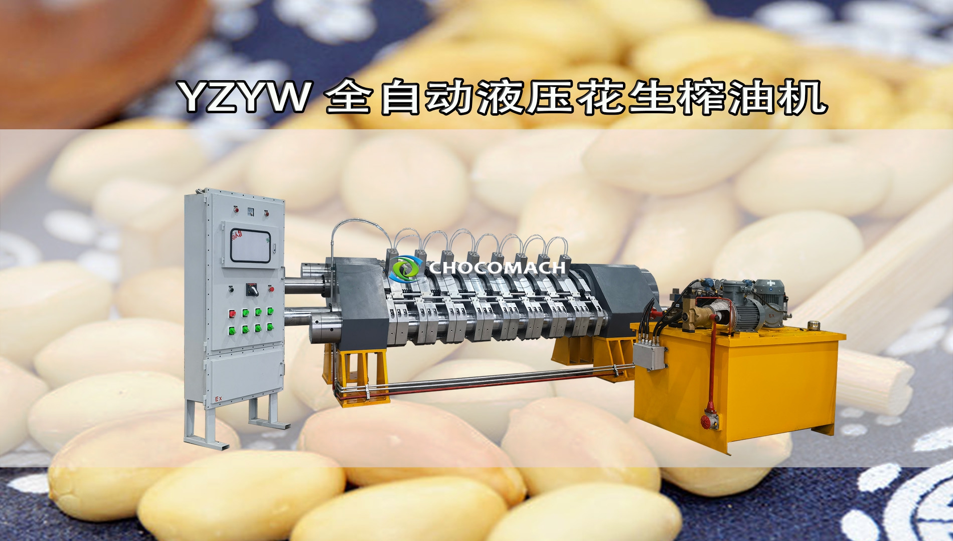 全自動花生榨油機(jī)壓榨花生油視頻