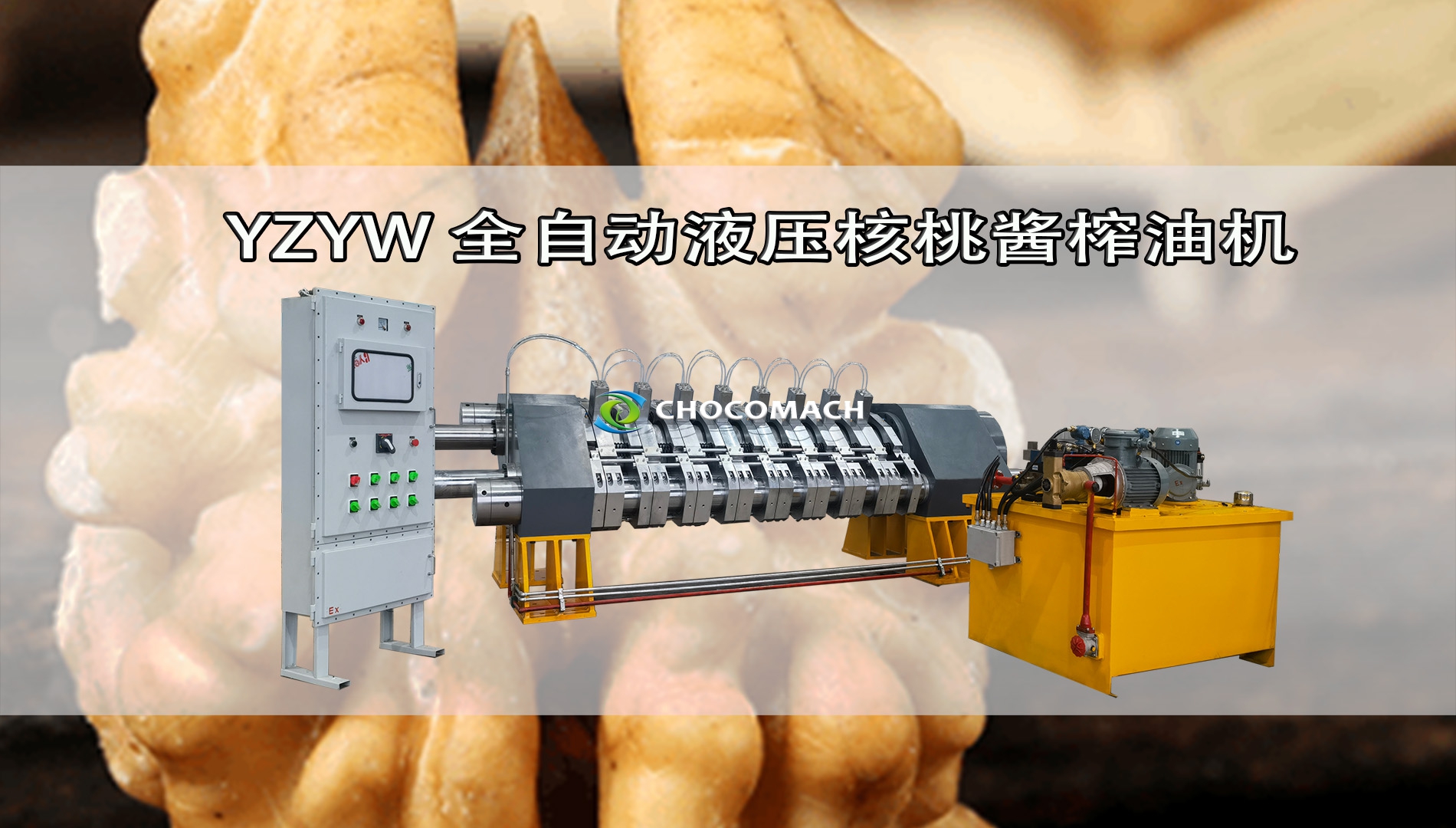 全自動液壓核桃榨油機(jī)冷榨核桃漿視頻