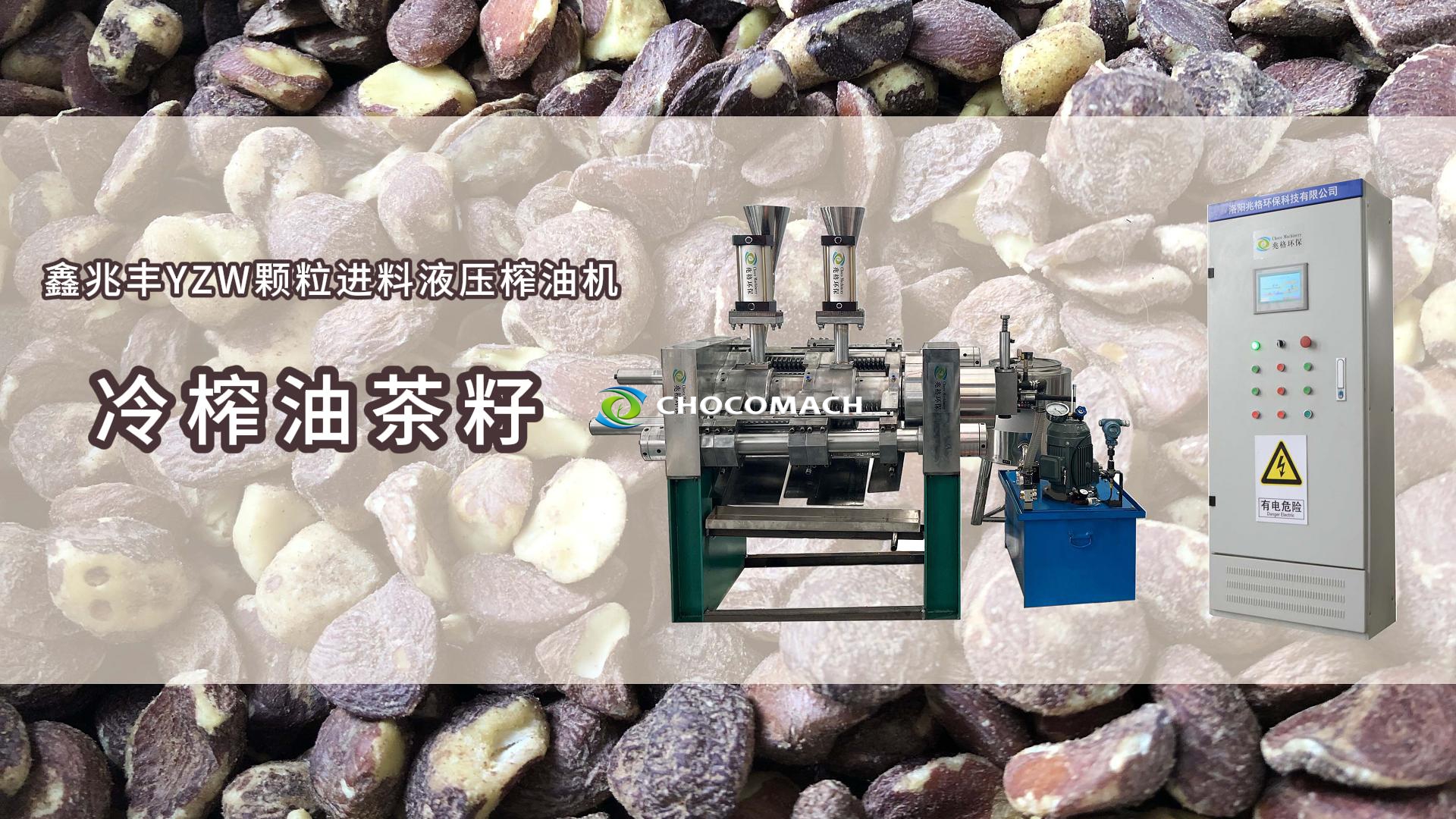 祝賀鑫兆豐全自動液壓茶籽榨油機YZW測試成功