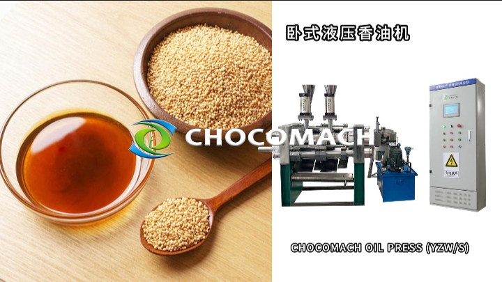 YZW全自動液壓芝麻香油榨油機