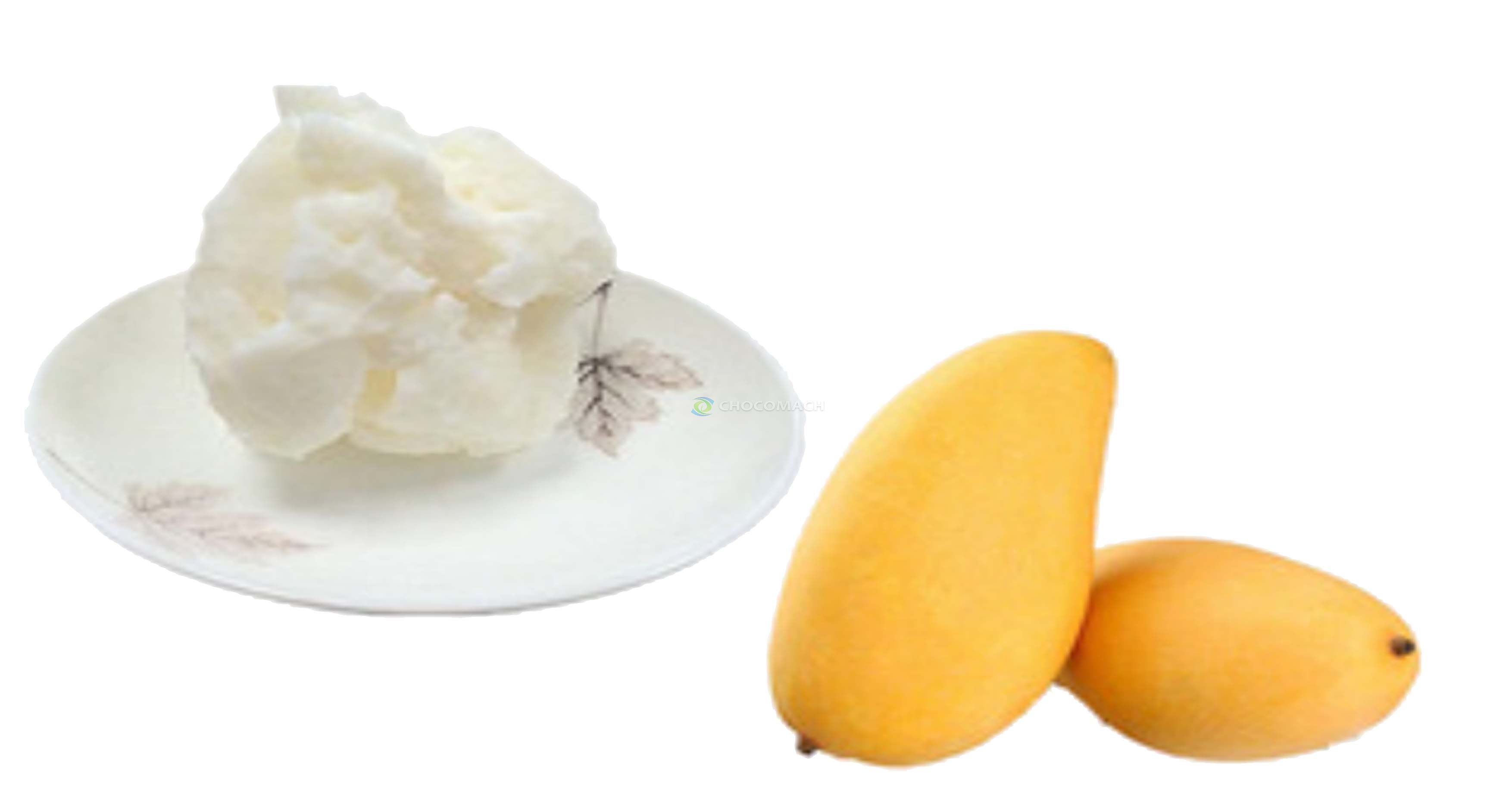 冷榨芒果仁油應(yīng)用市場(chǎng)研究報(bào)告